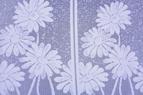 Nach Maß Scheibengardine Jacquard Bistrogardine Margerite weiß Höhe 45/60cm