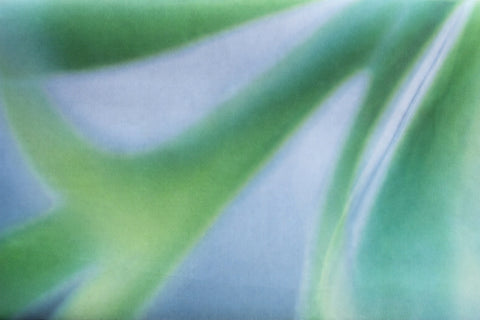 Textil-Duschvorhang Harmony BxH 180x200cm